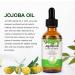 Jojoba Oil for Hair Growth 100 Pure Organic Jojoba Oil Cold Pressed Unrefined Hexane Free Jojoba Oil for Skin Hair Body Ear and Nails 60ml - Buy Online on SooperMarket.com