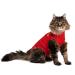 MPS Medical Pet Shirt Cat Surgery Recovery Suit Red X-Small