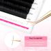 TDANCE Premium D Curl Eyelash Extensions 0.05mm + Ellipse Flat Lashes 0.15 D Curl 8-15mm - Mixed Lengths - Buy Online on SooperMarket.com