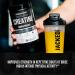 Creatine Monohydrate Powder - Creatine Supplement for Muscle Growth Increased Strength Enhanced Energy Output and Improved Athletic Performance by Jacked Factory - 85 Servings Peach Mango Peach Mango 85 Servings (Pack of 1) - Buy Online on SooperMarket.com