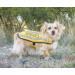 NERVOUS (Give Me Space) Yellow Colour Coded S M L Reflective Waterproof Fleece Lined Warm Dog Coats PREVENTS Accidents By Warning Others Of Your Dog In Advance (S) Small Coat - Buy Online on SooperMarket.com