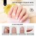 Beetles 7-in-1 Low Heat Builder Gel - 15ml Clear Strengthener with Liner Brush for Nail Art & Design | Perfect Holiday Gift for Women - Buy Online on SooperMarket.com