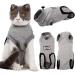 BT Bear Pet Surgery Recovery Suits Cats Clothes Abdominal Wounds Skin Diseases E-Collar Alternative Cotton Cat Shirt for Cats Puppy Small Dogs (XXS-Back length 25cm) XXS--Back length 25cm Chest--27cm - Buy Online on SooperMarket.com