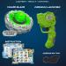 Craze Blade Evolution - Double Shot Premium Martial Cord Kreisel Metal with Launcher | Best Children s Roundabout Toy for Young Scouts | Model 42458 - Buy Online on SooperMarket.com