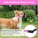 Singwow Adjustable Dog Muzzle | Prevent Biting, Barking, Chewing | Air Mesh Breathable | Small Medium Large Dogs (S) - Buy Online on SooperMarket.com