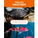 Petifool Koi Exquisit 1kg - Premium Dried Feed Mix for Water Turtles & Fish | Silk Cocks Shrimp & Gammarus - Natural Nutrition - Buy Online on SooperMarket.com