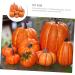 Warmhm 8pcs Halloween Decor Home Decor Autumn Decor Artificial Pumpkins Decor Photo Props Fall Photo Shoot Props Simulation Pumpkin Decor Scene Layout Adorn Ornaments Foam Cupboard - Buy Online on SooperMarket.com