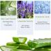 Trendyfave Aloe Vera Sheet Mask Collagen Face Mask Firming Repair Korean Face Mask Niacinamide Facial Mask Firming Anti-Wrinkle Mask Hydrating & Nourishing & Natural For All Skin Types - Buy Online on SooperMarket.com