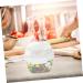 HOLIDYOYO Box Box Lunchbox Bento Container Lunch Boxes Lunch Holder White Compartment Box Pp Double Layer 15.8X15.8X14.3CM 10TUI4923B White 15.8X15.8X14.3CM - Buy Online on SooperMarket.com