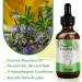 Rosemary Essential Oil for Hair Growth | 100% Organic with Scalp Massager - Nourishes & Stimulates Hair - Buy Online on SooperMarket.com