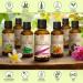 Amaranth Oil 50ml - Pure & Natural Amaranthus Caudatus Seed Oil for Skin Body Hair & Nail Care - Buy Online on SooperMarket.com