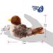 Gigwi Interactive Cat Toys: Squeaking Melody Chaser for Solo Play - Fun and Stimulating Kitten Toy for Boredom Birds - Buy Online on SooperMarket.com