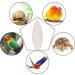 Buy Lorelo 6-Piece Sepia Bowl & Chewing Toys Set for Parrots Turtles & Snails - Includes 3 Metal Holders 11-13cm - International Shipping Available! - Buy Online on SooperMarket.com