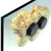 Buy Tunze Coral Rack Long (1 Piece) 0104.820 - Premium Coral Frag Rack for Aquariums | International Shipping Available - Buy Online on SooperMarket.com