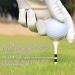 FINGER TEN Golf Tees Wooden Bamboo 3 1/4 & 2 3/4 Inch Durable Biodegradable Colored Tee Pack - 120 Count - White & Black - Buy Online on SooperMarket.com