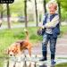Tangle-Free Retractable Dog Lead - 8M/26FT Reflective Nylon Tape - Lock - Anti-Slip Handle - Strong & Durable Walking Leash for S to L Dogs - Strong and Stylish Grey Design3M pink 3M Pink - Buy Online on SooperMarket.com