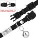 Personalized Breakaway Cat Collar with Engraved Name Tag - Adjustable Kitten Safety Collar with Bell - 7 Colors - Customizable up to 3 Lines of Text - Buy Online on SooperMarket.com
