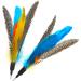 onebarleycorn Cat Toys Feather Refills for Cat Wand Toys Interactive include Replacement Feathers 1 Count (Pack of 1) - Buy Online on SooperMarket.com