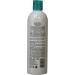 JASON Kids Only! Extra Gentle Shampoo - 17.5 oz Bottle | Best Gentle Shampoo for Children | International Shipping Available - Buy Online on SooperMarket.com