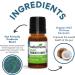 Wellements Organic Probiotic Drops for Baby Digestive & Immune Support | 0.25 Fl Oz 141188 | Dye-Free, Paraben-Free, Preservative-Free | Infants & Toddlers - Buy Online on SooperMarket.com