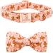 Lionheart Glory Christmas dog collar pink dog hunde collar adjustable soft comfortable fly collars for large dogs girls or young collar dog loop X-Large (1 Pack) a: gingerbread man