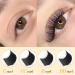 Easy Fan Lashes D-0.03-15mm | Russian Volume Eyelash Extensions | Self Fanning Lashes | 15mm D Curl | Blooming Volume Lash Extension - Buy Online on SooperMarket.com