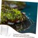 Sosoport Pet Water Feeder Clear Ants Feeder Ant Keeper Tools Ant Nest Water Cup Ant Bowl Automatic Ants Feeder Ants Feeding Device Ant Waterer Ant Feeder Ant Nest Entrance Feeder - Buy Online on SooperMarket.com