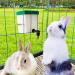 VandanCoop 500ml Automatic Rabbit Water Bottle - Non Drip Hanging Water Feeder for Small Animals - Buy Online on SooperMarket.com