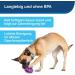 PetSafe Twist-n-Treat Dog Toy | Fillable Treat Toy | Customizable Dispensing & Dishwasher Safe | Purple L - Shop Now for International Shipping! - Buy Online on SooperMarket.com
