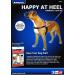 Anol/Pure Dog Listeners Stop Pulling Dog Training Harness & Lead Set - Large Size 7-8 (inc DVD) - Buy Online on SooperMarket.com