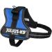 Buy K9 Powerharness XS/Mini-Mini Blue - Lightweight Dog Harness for Small Breeds | International Shipping Available - Buy Online on SooperMarket.com