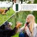 ASSCA Anti Barking Device Ultrasonic Dog Deterrent Anti Dog Barking Deterrent Devices with 3-in-1 Charging and Safe for People and Pets Mini Ultrasonic Dog Repeller is Suitable for Most Dogs Green - Buy Online on SooperMarket.com