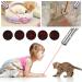 Pet Cat Laser Toy  USB Rechargeable Handheld Pointer  5 Red Laser Patterns  Suitable Indoor Interaction with Cats or Dogs - Buy Online on SooperMarket.com
