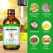 Cat Antibiotics & Supplements - Immune Support, Allergy Relief, UTI Prevention - Chicken Flavour - 2 Fl Oz - Buy Online on SooperMarket.com