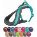 Premium Touring Harness - Forest Green M L | International Shipping Available - Buy Now! - Buy Online on SooperMarket.com