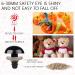 816 Pcs Colorful Safety Eyes for Amigurumi - Plastic, 6-30mm, with Washers - Ideal for Crochet, Stuffed Animals, Teddy Bears - Buy Online on SooperMarket.com