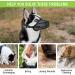 Dog Muzzle NiCoLa Soft Adjustable Mesh Muzzles for Small Medium Large Dogs Breathable Pet Mask Dog Training Muzzle with Adjustable Straps Prevent Biting Chewing and Licking (L) Black-L - Buy Online on SooperMarket.com