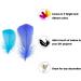 Coceca 300pcs Colorful Feathers for DIY Craft, Wedding, and Party Decor - Buy Online on SooperMarket.com