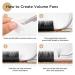 LASHVIEW Easy Fan Volume Lashes - Silk Semi-permanent Handmade Auto-Fan Eyelashes (0.07-C 8-15mm Mixed) for Professional Salon Use - Buy Online on SooperMarket.com