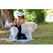 Nature Pet Funeral Pants for Bitches 2.0 - Soft Hygienic Dog Diapers | No Annoying Threading | Large Black (L-L 8) | Ideal for Male Dogs with Incontinence - Buy Online on SooperMarket.com