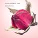 Phnom Penh Rose 250g Dried Rose Buds tea Edible Rose Tea Fragrant Dried Flowers for Tea Jams cakes desserts or other baked goods - Buy Online on SooperMarket.com