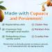 BoaVida Deodorizing Citrus Plus Elder Shampoo & Body Wash - Persimmon Formula to Eliminate Nonenal & Odors - 1 Gallon | International Shipping Available - Buy Online on SooperMarket.com