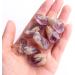 Natural Crystal Rough Natural Mini Amethyst and Citrine Crystal Cluster Point Specimen Home Decoration Collection DIY Gift (Color : Citrine Stick Size : 30g) 30g Citrine Stick - Buy Online on SooperMarket.com
