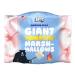 EPIC SNAX CO Giant American Style Pink and White Toastin Marshmallows 500 g (Pack of 1) Giant Toastin' 500g (Pack of 1)