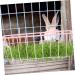 Rabbit Rack Feeder for Cage Holder for Rabbits Pet Feeder Metal Rack Metal Feeder Feeder Hamster Holder Cage Guinea Pig Wrought Iron Ferrets - Buy Online on SooperMarket.com