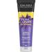 Self Tanner & Brass Fighting Shampoo and Conditioner Set for Blondes | John Frieda Violet Crush Daily Purple Shampoo + Conditioner and Jergens Natural Glow Instant Sun Sunless Tanning Mousse Deep Bronze. - Buy Online on SooperMarket.com