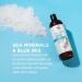 Soapbox Sea Minerals & Blue Iris Body Wash - Moisturizing Cleanser with Aloe Vera & Shea Butter | 16oz Bottles (Pack of 3) - Paraben, Gluten, Silicone Free, Cruelty Free & Vegan - Buy Online on SooperMarket.com