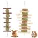 Fantesi 2 pieces of rabbits Kieletzeiten Kachtiele for rabbits of course apple wood chew grassball timothy hay sticks carrot cake for bunnies hamster racing mice chinchilla dental care