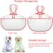 Shop Petcute Waterproof Dog Raincoat with Hood - Transparent PVC Breathable Button Closure | Ideal for Medium & Large Dogs in Red - Buy Online on SooperMarket.com