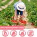 High Quality Dried Strawberry Powder 0.5kg | 100% Natural No Additives | Perfect for Baking | International Shipping Available - Buy Online on SooperMarket.com